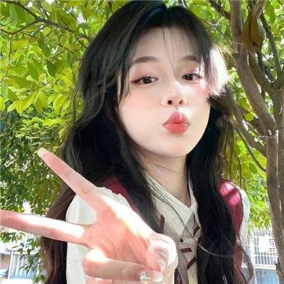 熊出没之丛林总动员