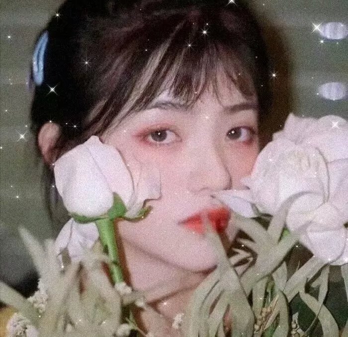 婚约指环